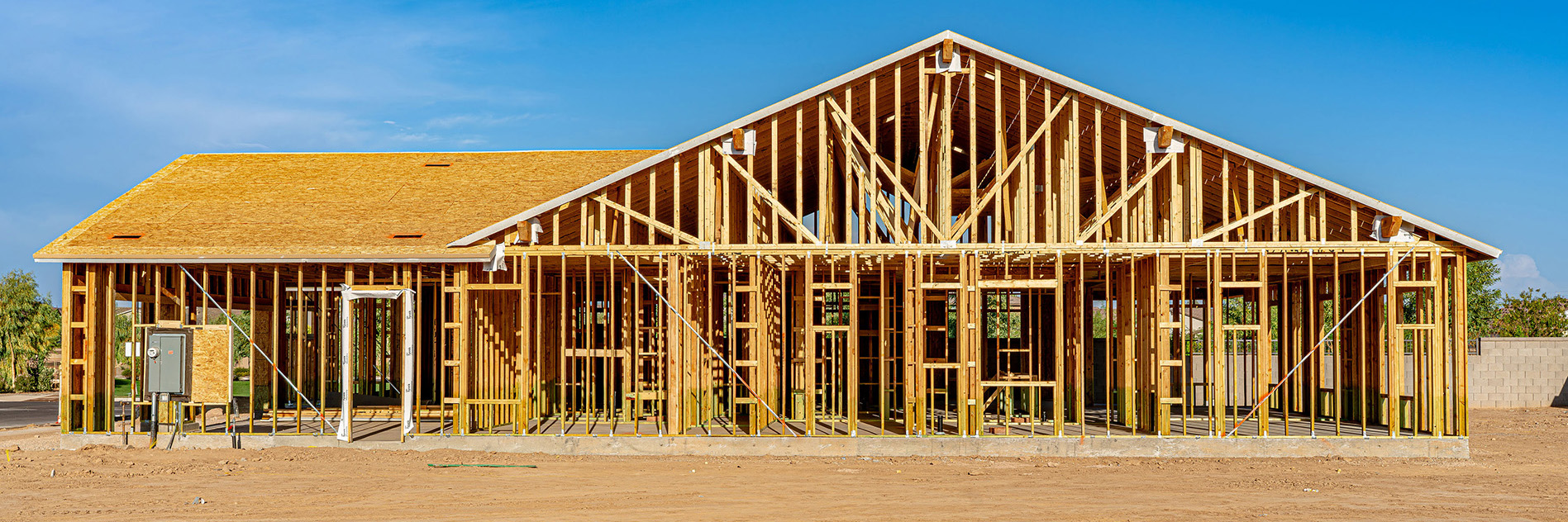 Large Wood Frames House