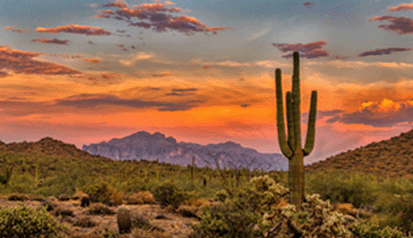 Arizona Office